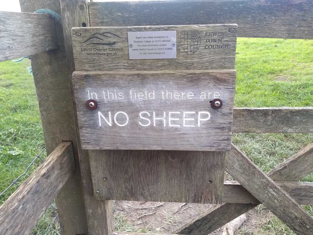 In this field there are no sheep
