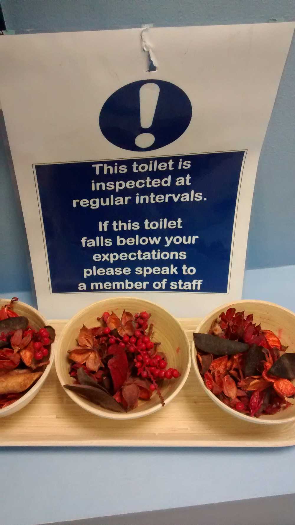 If this toilet falls below your expectations